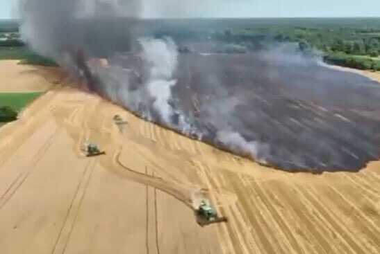 Harvesting in the Times of War