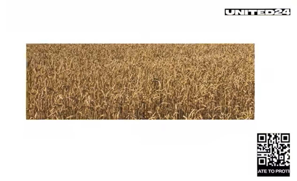 War in Ukraine: Serious Consequences for Global Food Security