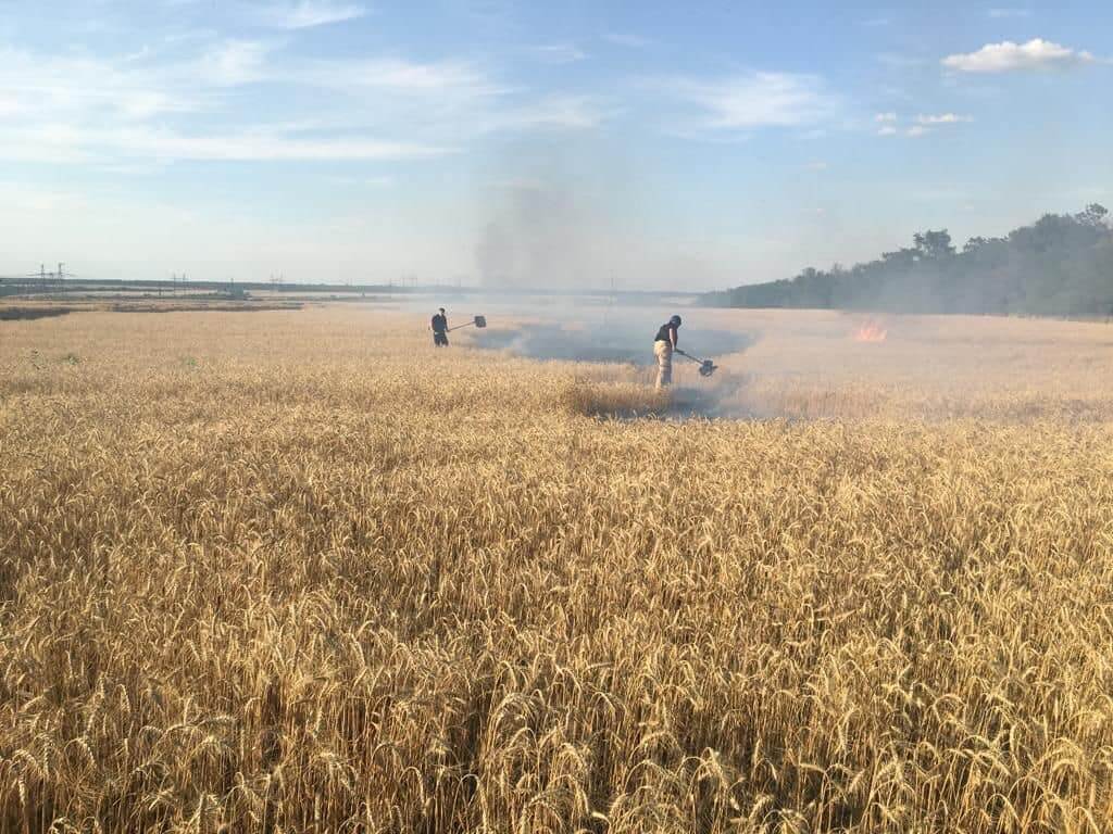 Russia Destroys up to 40,000 tons of Grain Crops in Zaporizhzhia